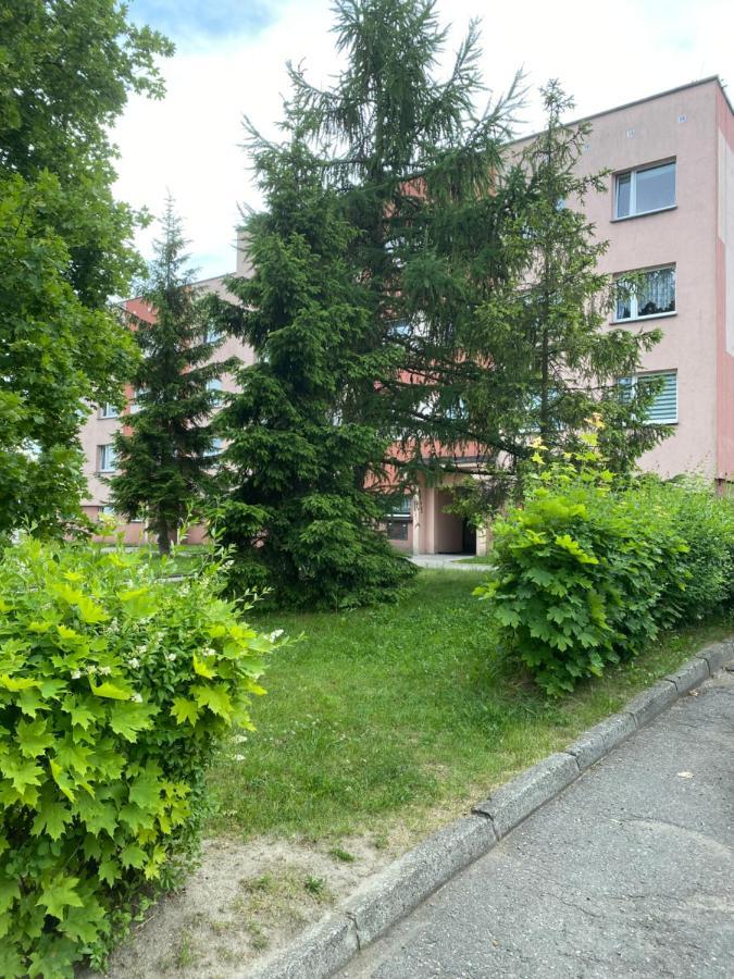 Zb Apartment Beige Piekary Śląskie エクステリア 写真